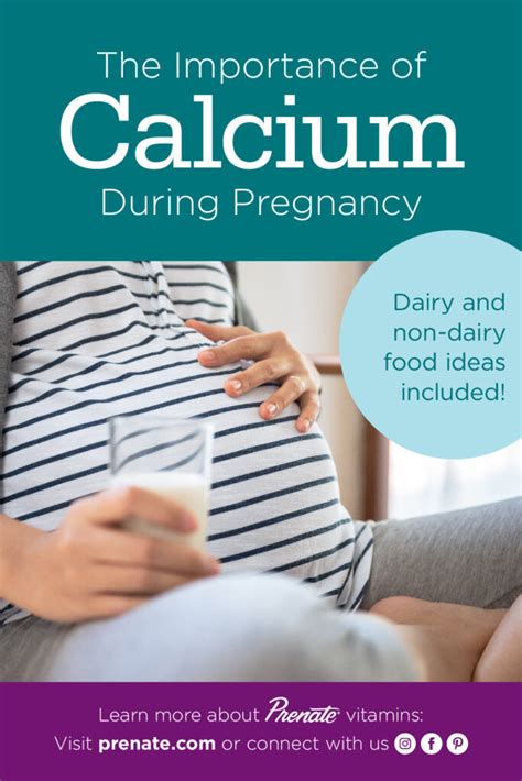 Get the Calcium You Need During Pregnancy .
